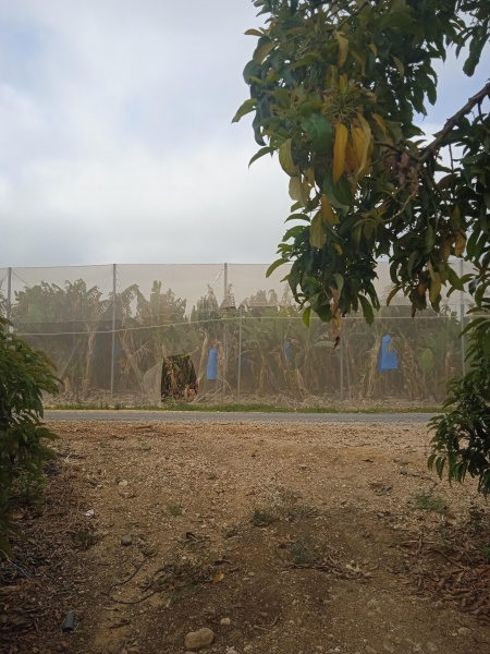 קובץ:2025-05-11T08 12 23.511871716975.jpg