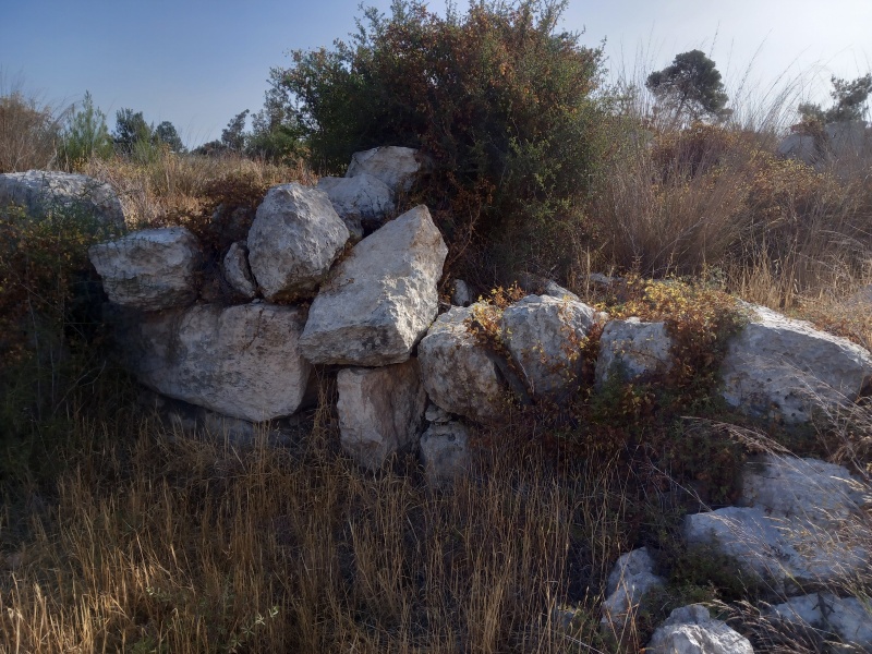 קובץ:2025-05-11T08 15 21.951990346890.jpg