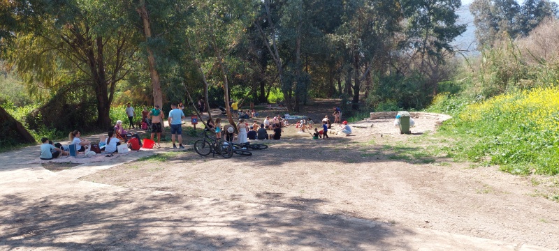 קובץ:2025-05-11T17 33 24.3324501476.jpg