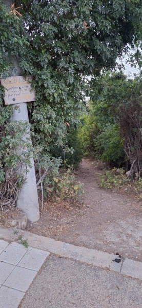 קובץ:2025-05-11T19 34 18.534350361319.jpg