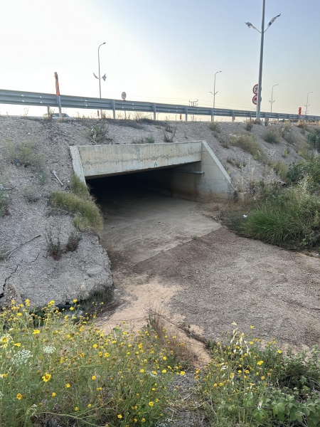 קובץ:2025-05-11T19 39 33.157280293598.jpg