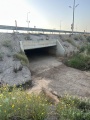 תמונה ממוזערת לגרסה מתאריך 14:15, 13 במאי 2025