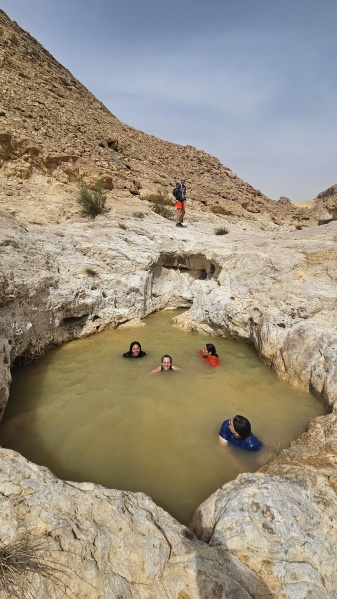 קובץ:2025-05-12T09 58 08.296659610360.jpg