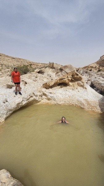 קובץ:2025-05-12T10 07 16.935490519687.jpg
