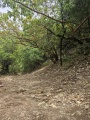 תמונה ממוזערת לגרסה מתאריך 15:51, 12 במאי 2025