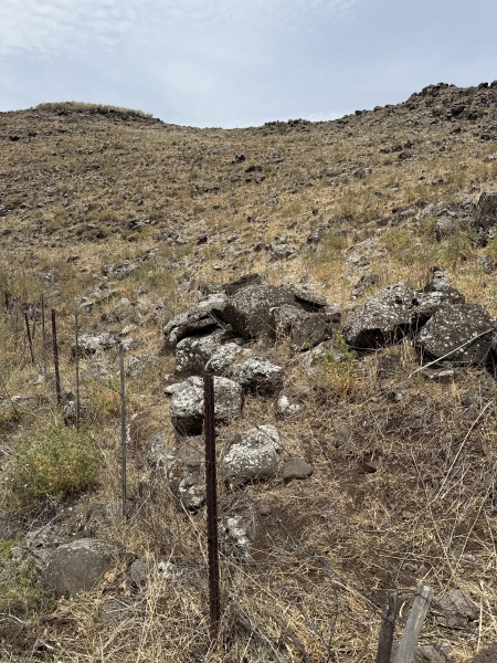 קובץ:2025-05-12T13 53 23.904560291830.jpg