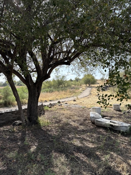 קובץ:2025-05-12T16 17 04.347548399073.jpg