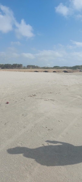 קובץ:2025-05-12T16 38 44.397581839592.jpg