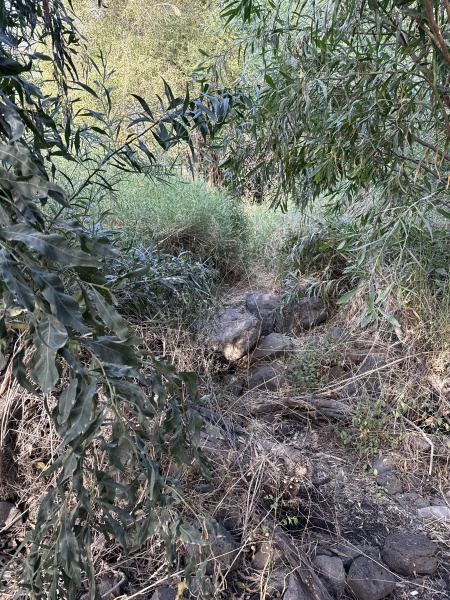 קובץ:2025-05-12T17 32 09.813865377325.jpg