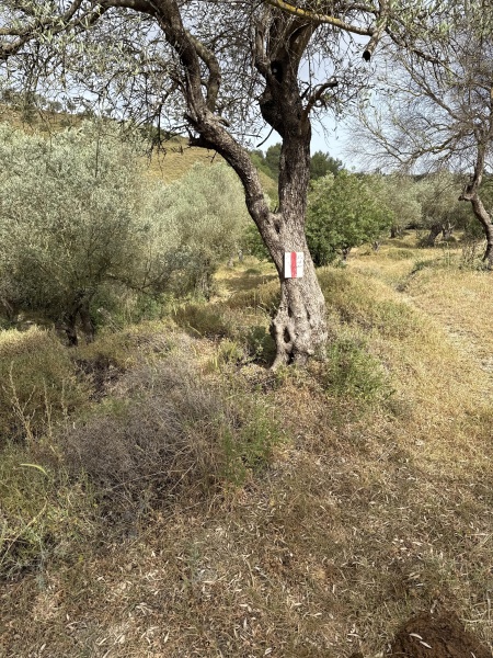 קובץ:2025-05-13T08 48 44.88886799783.jpg