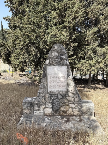 קובץ:2025-05-13T09 40 42.343961339619.jpg