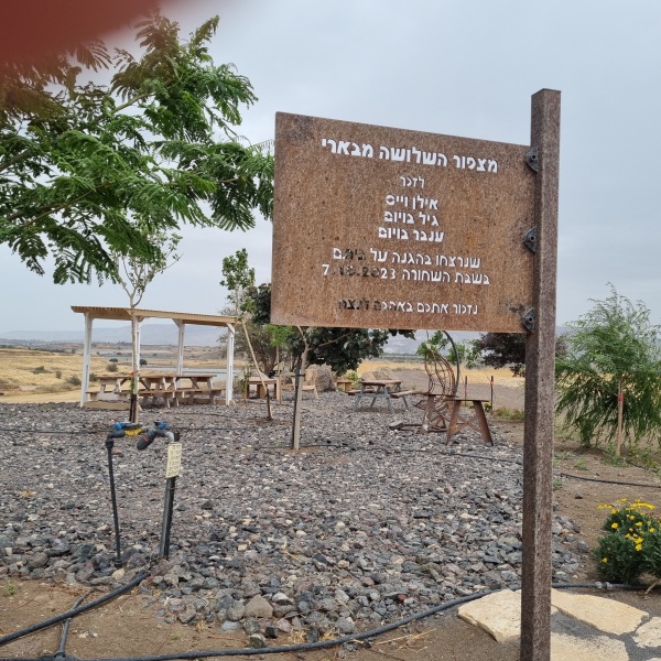 קובץ:2025-05-13T13 24 02.011443666022.jpg