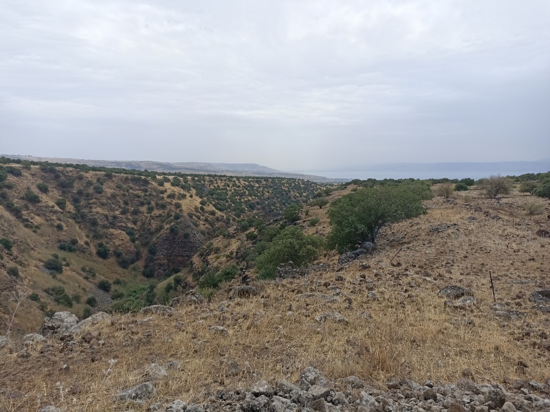 קובץ:2025-05-13T13 27 32.676409577638.jpg