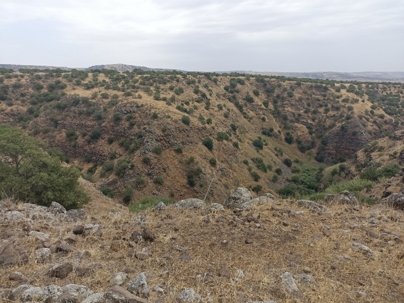 קובץ:2025-05-13T13 27 53.427594329533.jpg