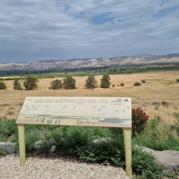 קובץ:2025-05-13T13 50 57.234520561165.jpg