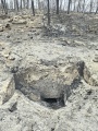 תמונה ממוזערת לגרסה מתאריך 10:57, 13 במאי 2025