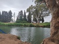 תמונה ממוזערת לגרסה מתאריך 11:01, 13 במאי 2025