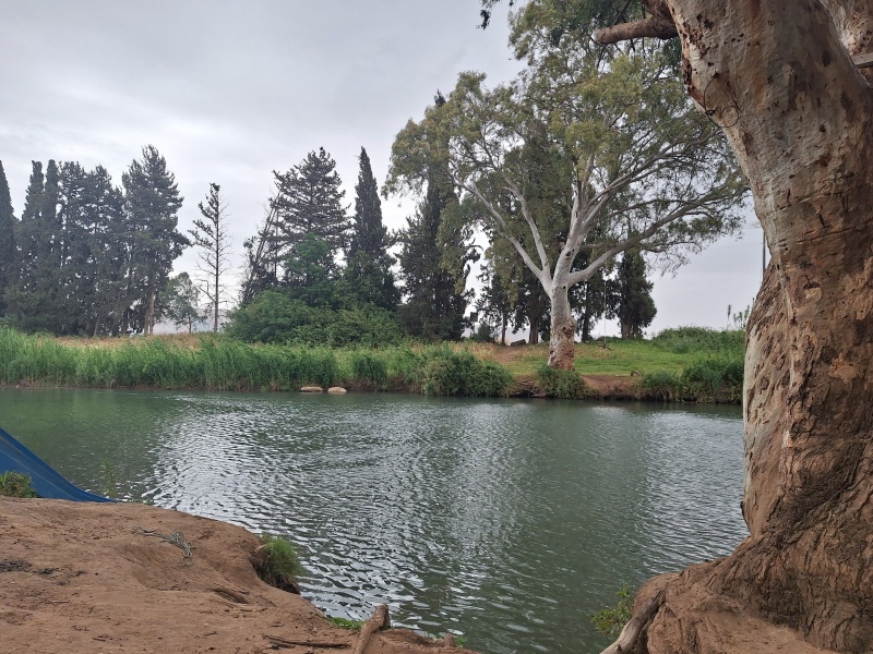 קובץ:2025-05-13T14 23 13.923293640711.jpg