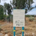 תמונה ממוזערת לגרסה מתאריך 11:21, 13 במאי 2025