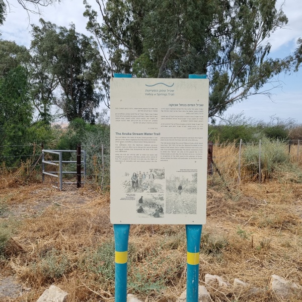 קובץ:2025-05-13T14 42 47.537844868258.jpg