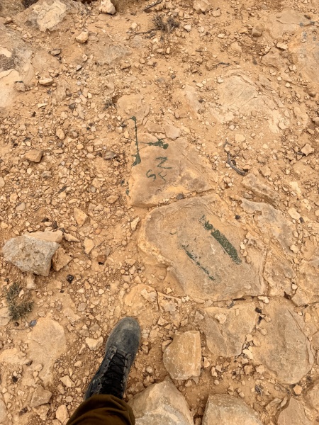 קובץ:2025-05-13T14 52 55.371923770573.jpg