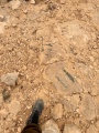 תמונה ממוזערת לגרסה מתאריך 11:31, 13 במאי 2025