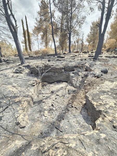 קובץ:2025-05-13T14 59 09.795224891580.jpg