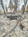 תמונה ממוזערת לגרסה מתאריך 12:06, 13 במאי 2025