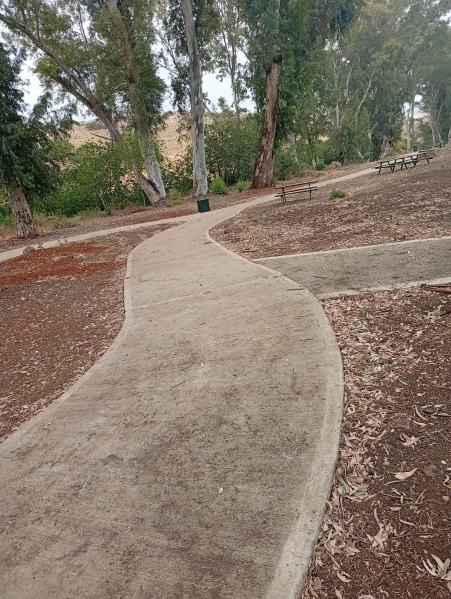 קובץ:2025-05-13T15 52 09.754824738731.jpg