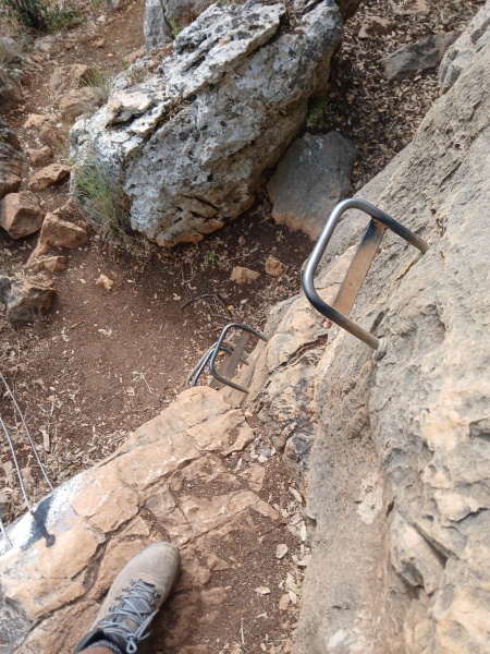 קובץ:2025-05-13T16 37 14.525365515907.jpg