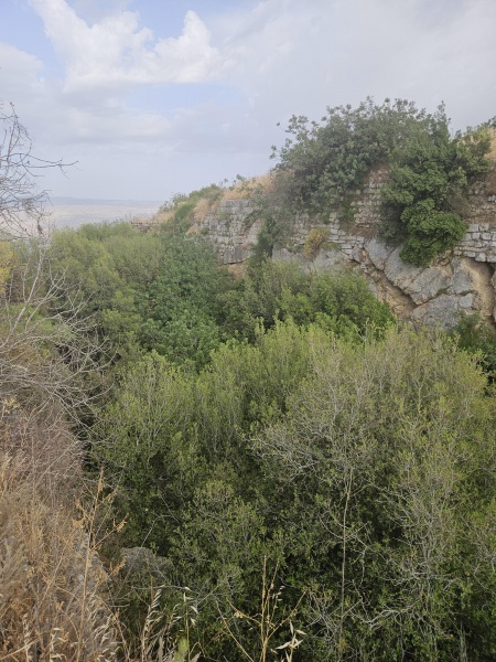 קובץ:2025-05-13T17 28 56.49100460734.jpg