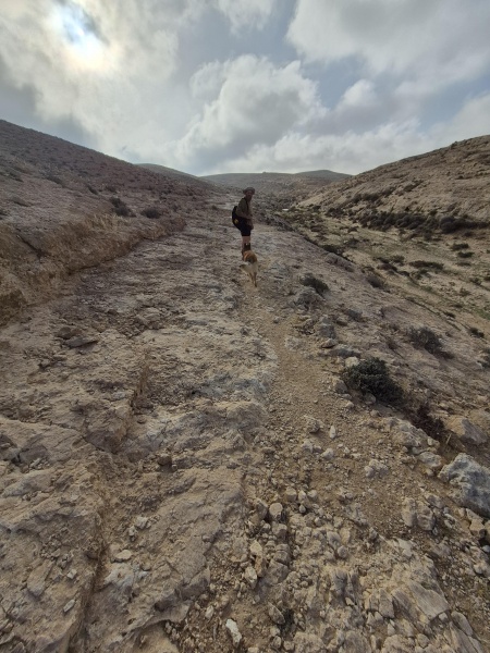 קובץ:2025-05-14T07 30 46.449747125784.jpg