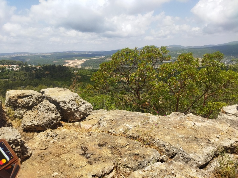 קובץ:2025-05-14T13 39 58.75695585697.jpg