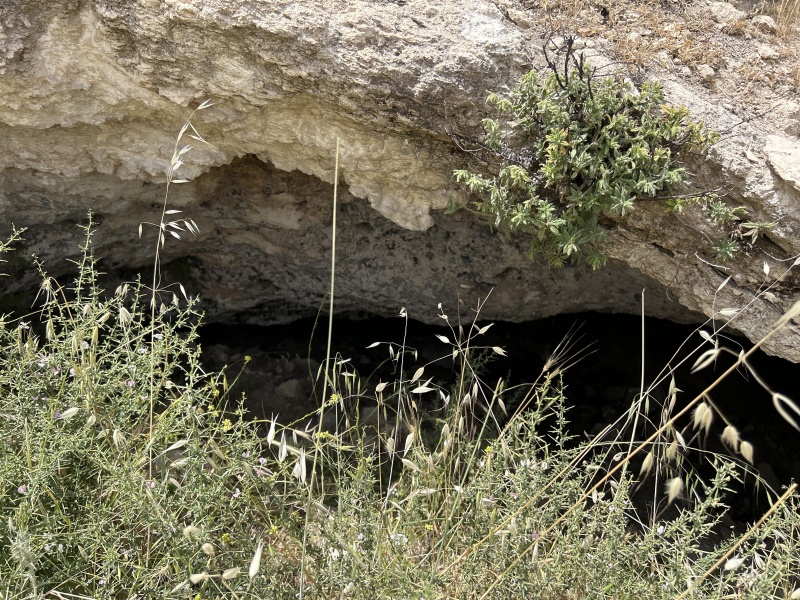 קובץ:2025-05-14T14 07 58.748125674495.jpg
