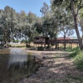תמונה ממוזערת לגרסה מתאריך 11:02, 14 במאי 2025