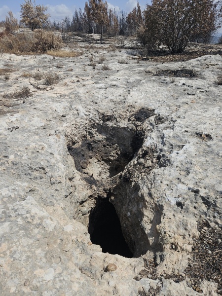קובץ:2025-05-14T14 33 16.665561168297.jpg