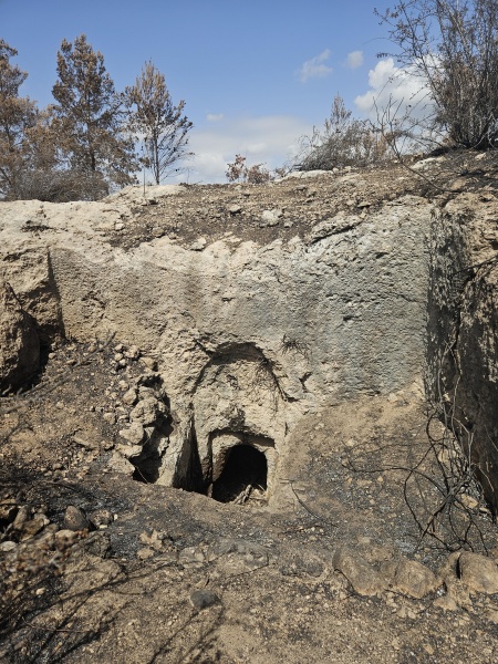 קובץ:2025-05-14T14 59 40.948729811699.jpg