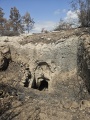 תמונה ממוזערת לגרסה מתאריך 11:38, 14 במאי 2025