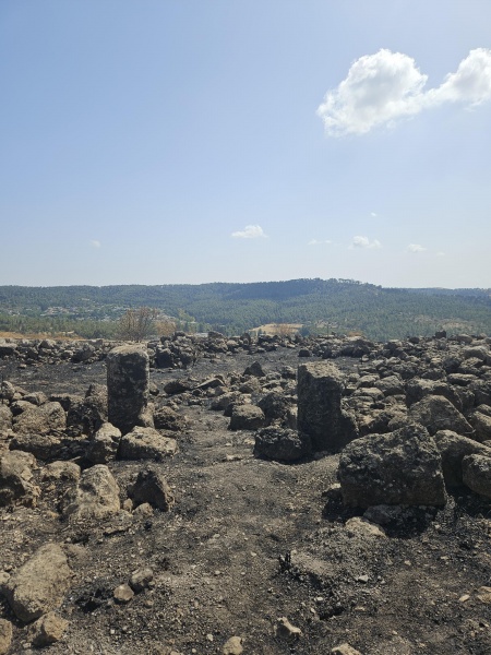 קובץ:2025-05-14T15 30 59.724976659990.jpg