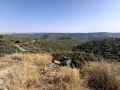 תמונה ממוזערת לגרסה מתאריך 13:44, 14 במאי 2025