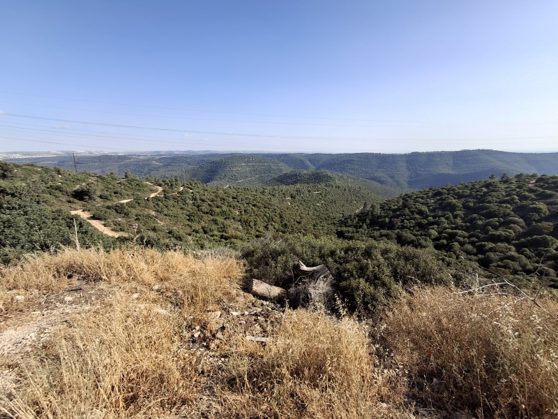 קובץ:2025-05-14T17 05 16.146606112829.jpg
