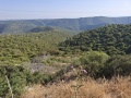תמונה ממוזערת לגרסה מתאריך 13:46, 14 במאי 2025