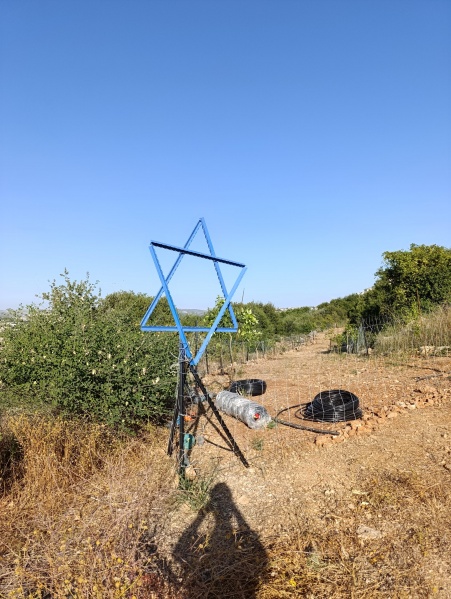 קובץ:2025-05-14T17 39 07.732475821702.jpg
