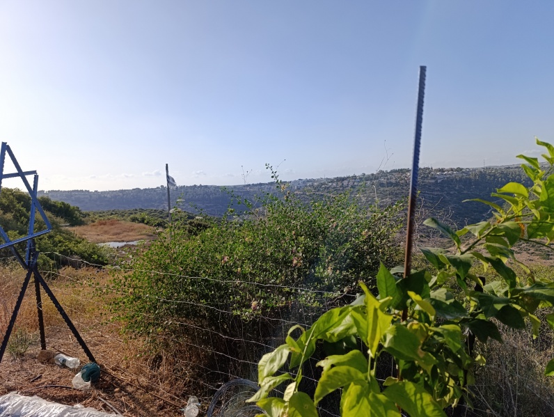 קובץ:2025-05-14T17 39 56.455245719415.jpg