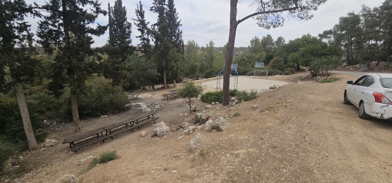 קובץ:2025-05-15T11 25 12.688663684616.jpg