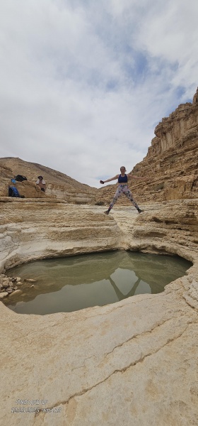 קובץ:2025-05-15T12 23 43.684550733016.jpg