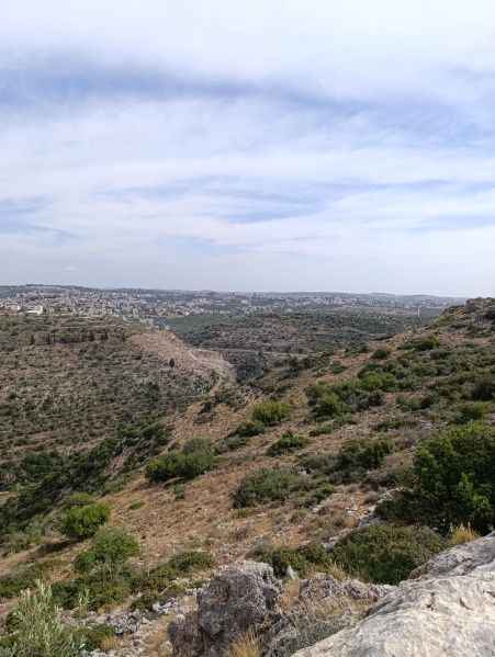 קובץ:2025-05-15T16 08 25.088040929177.jpg