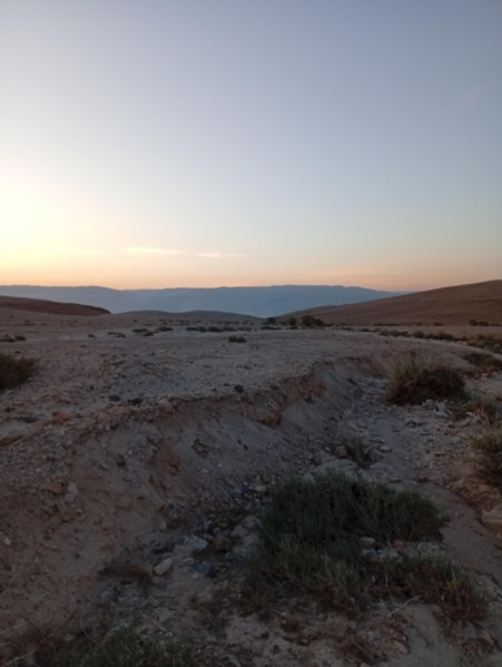 קובץ:2025-05-16T05 37 40.032561404527.jpg