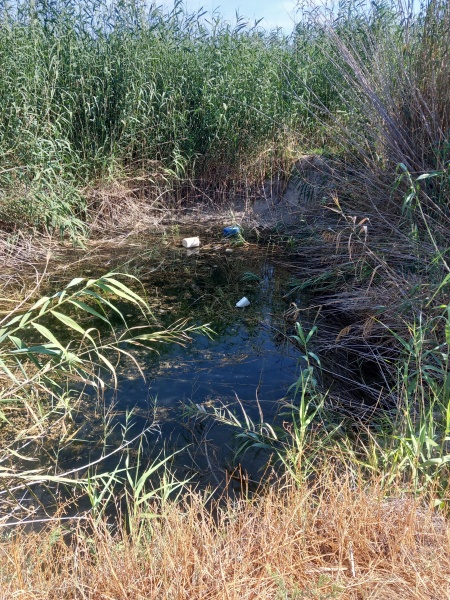 קובץ:2025-05-16T09 08 18.325803494005.jpg