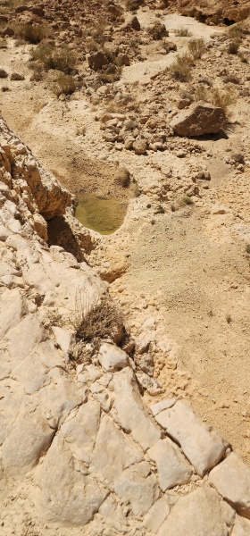 קובץ:2025-05-16T10 27 29.440530402459.jpg